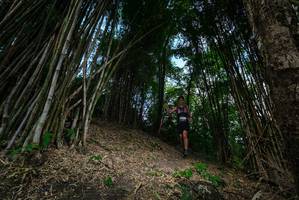 BIB: 
                            <button type="button" onclick="openModal(19395619)" class="btn btn-primary btn-sm float-right btn-popup" data-toggle="modal" data-target=".modal-high-quality">
                        <i class="fas fa-shopping-cart"></i> Add to Cart
                    </button>
                                            <button type="button" onclick="isThisMe(19395619, true)" class="btn btn-success btn-sm float-right btn-popup btn-isme hidden" data-toggle="tooltip" data-placement="bottom" title="นี่คือรูปของคุณใช่ไหม คลิกที่นี่เพื่อเอาเข้าอัลบั้ม">
                        <i class="fas fa-plus"></i> Add to album
                    </button>
                    <button type="button" onclick="isThisMe(19395619, false)" class="btn btn-warning btn-sm float-right btn-popup btn-isnotme hidden">
                        <i class="fas fa-ban"></i> Remove from album
                    </button>